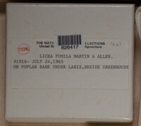 Image Associated With the Occurence
